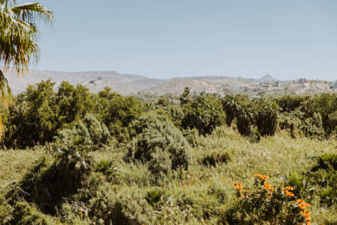 Art District Condo Retreat in San José del Cabo (10)