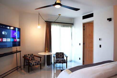 Modern Comforts in the Art District Condo Getaway in San José Del Cabo, Lo Cabos - Flamboyan Apartment (14)