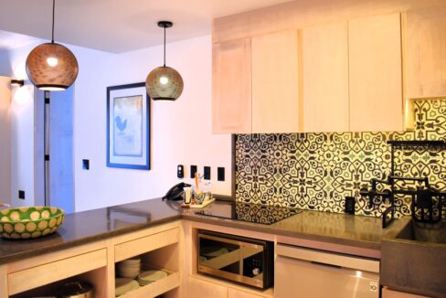 Modern Comforts in the Art District Condo Getaway in San José Del Cabo, Lo Cabos - Flamboyan Apartment (21)
